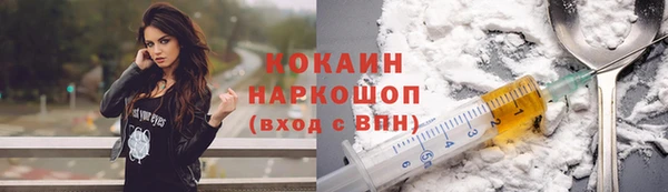 прущий лед Богородицк