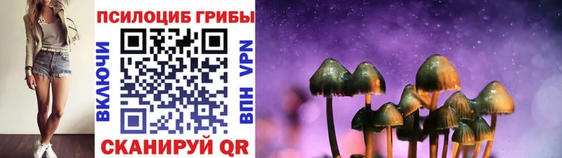 Псилоцибиновые грибы прущие грибы  Оса 