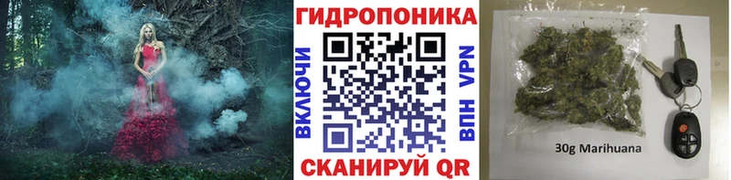 купить закладку  Оса  маркетплейс формула  Шишки марихуана марихуана 